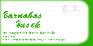 barnabas husek business card