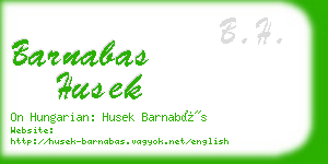 barnabas husek business card